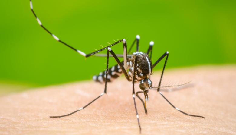 Más de 17 municipios bonaerenses en alerta epidemiológica por casos de dengue